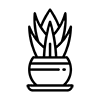 noun plant 8231160 100 px